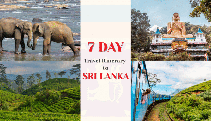 The Perfect 7-Day Sri Lanka Itinerary for Nature and Culture Lovers 7 day Sri Lanka itinerary