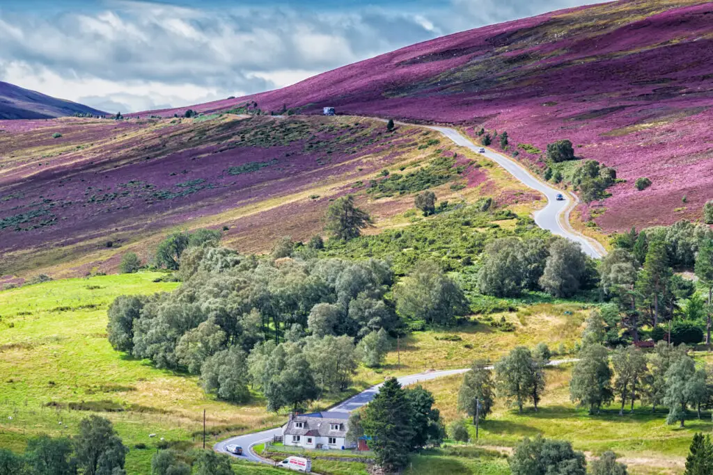 The Ultimate 14-Day Itinerary for a Road Trip Through Scotland 5 A picturesque landscape of Cairngorms National Park